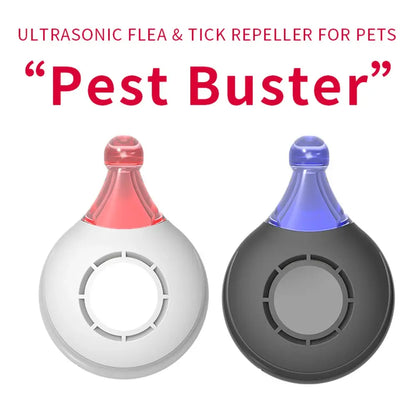 Trendy Pet Protector