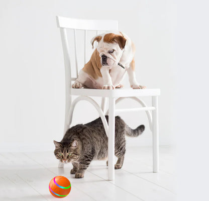 PawActive Smart Ball