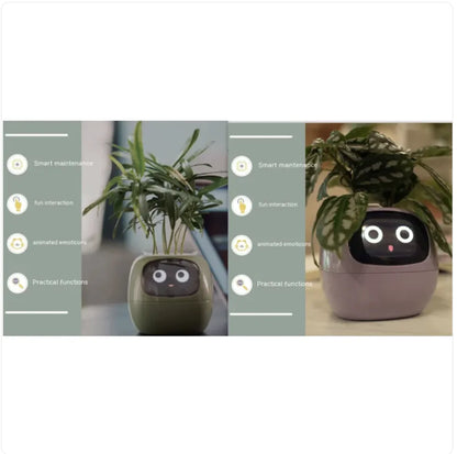 Smart Planter Pot with AI