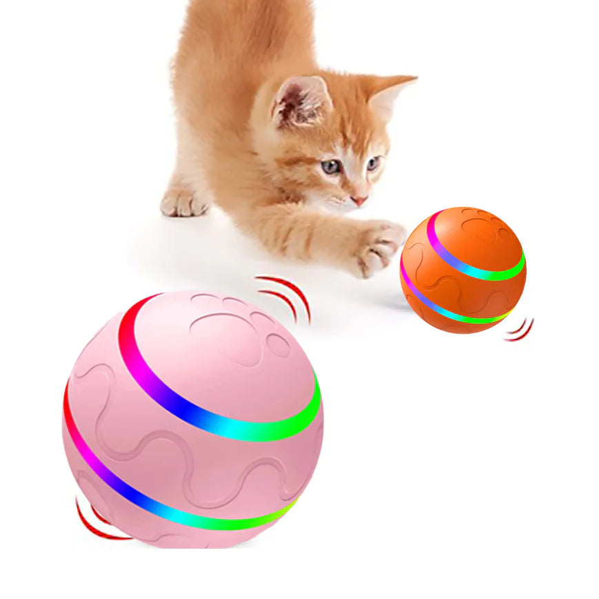 PawActive Smart Ball