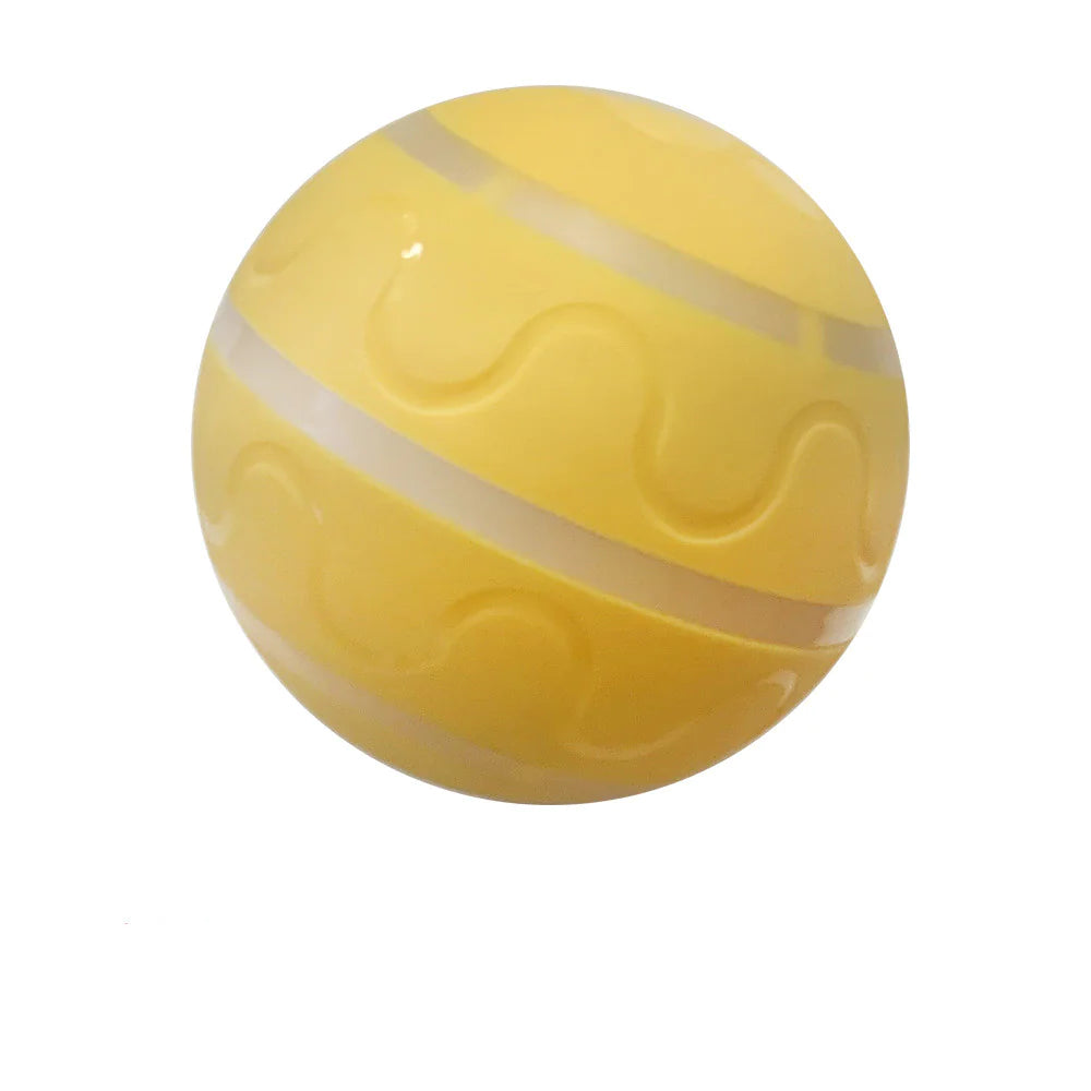 PawActive Smart Ball