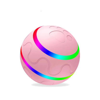 PawActive Smart Ball