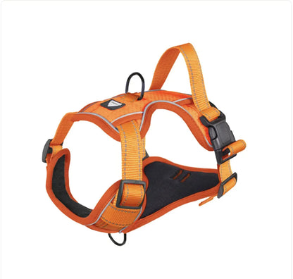 GlowGuard Comfort Leash & Harness